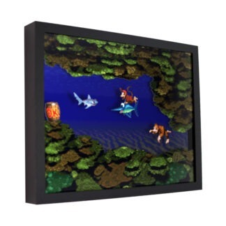 Donkey Kong Country (Coral Capers)