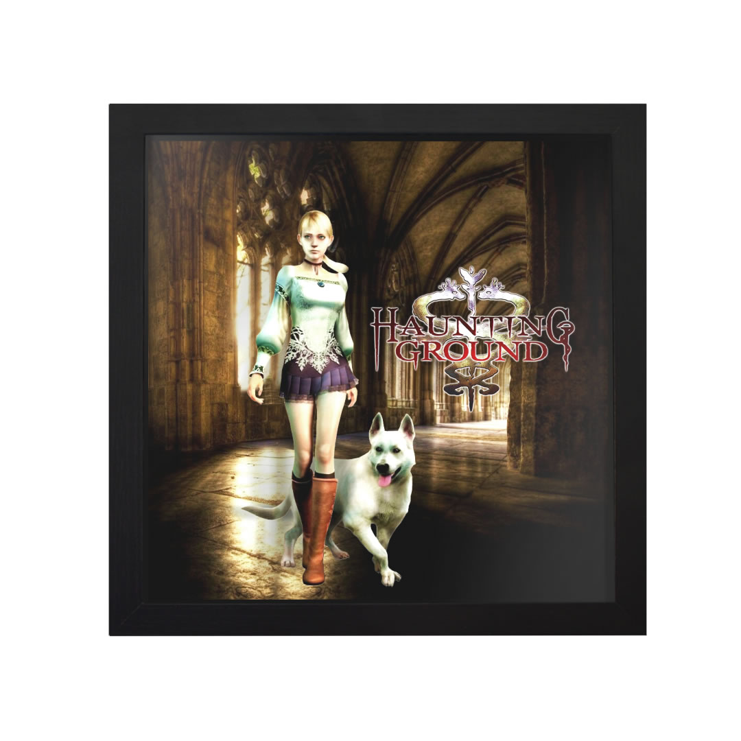 Haunting Ground - Image 4