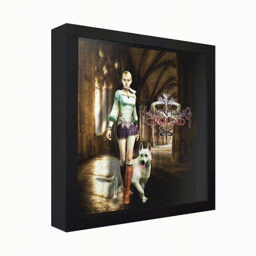 Haunting Ground - Image 2