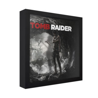 Tomb Raider 2013 (Cover Art)